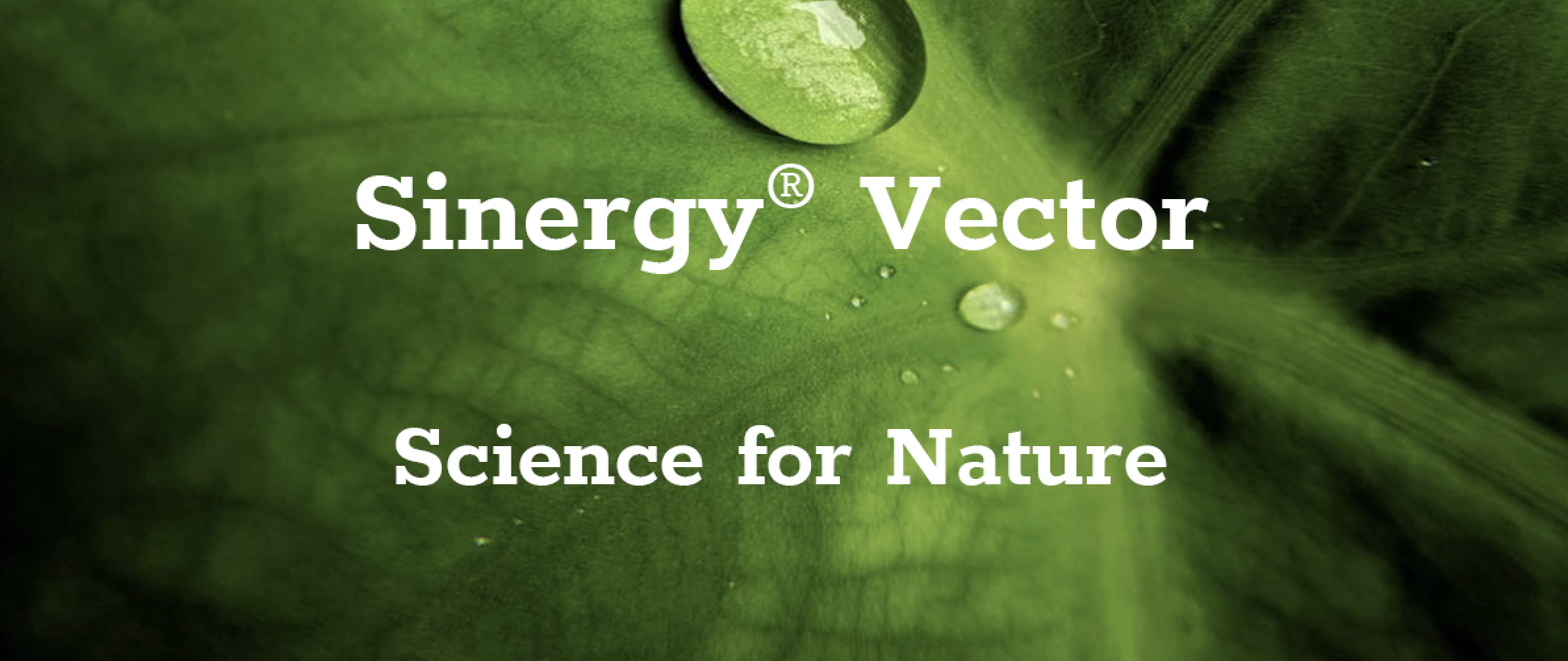 Sinergy-vector-banner-gsm