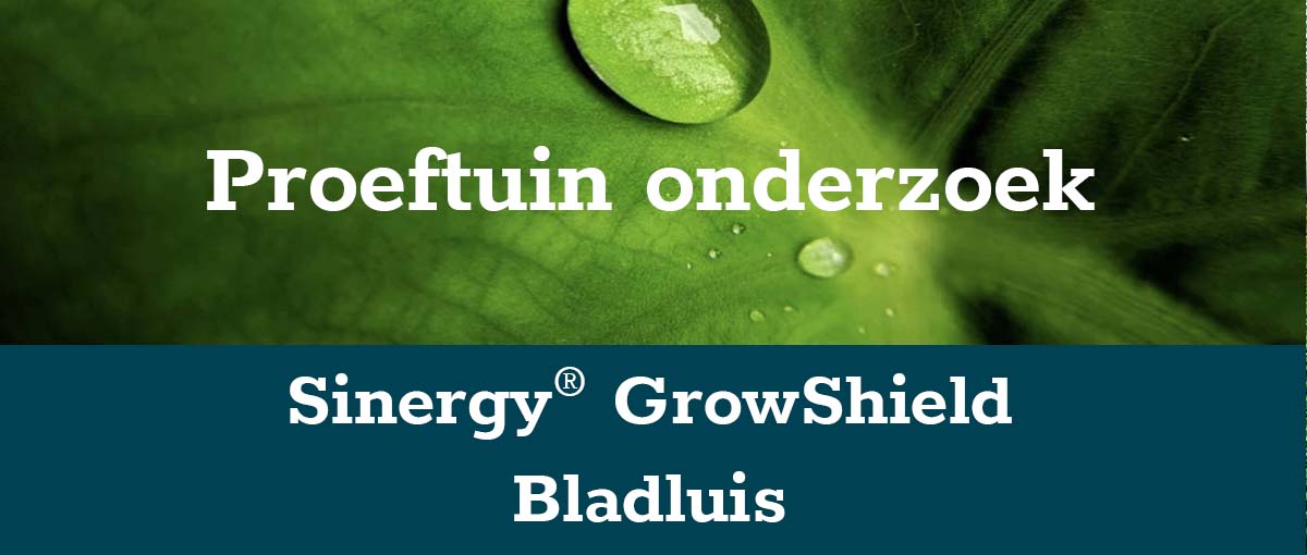 banner-bladluis-klein