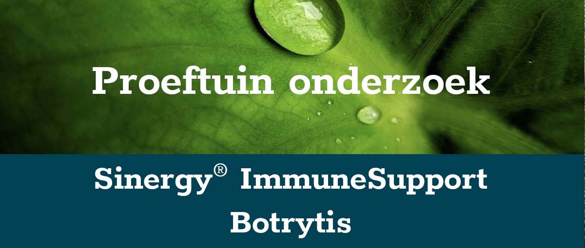 banner-botrytis klein