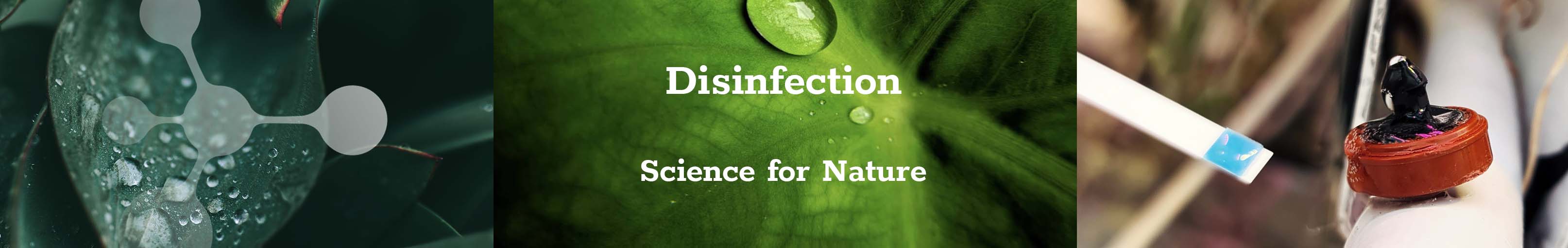 Disinfection