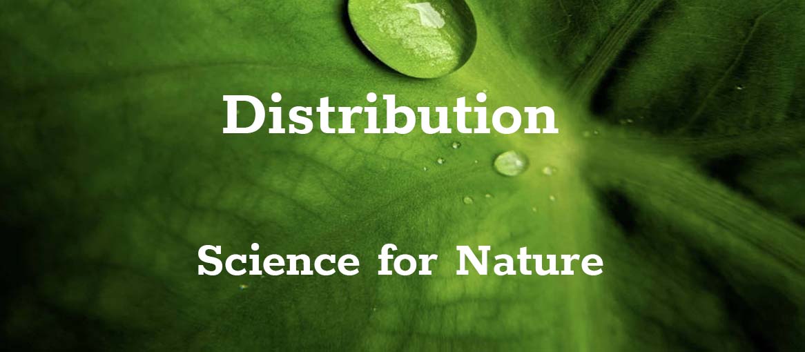 GSM Distribution