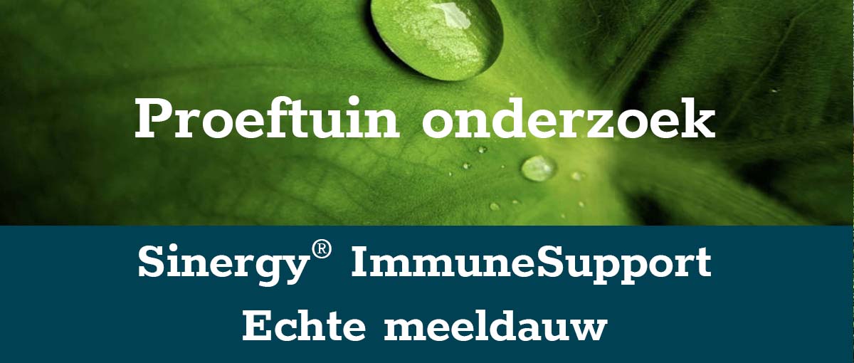 banner-echte-meeldauw-klein