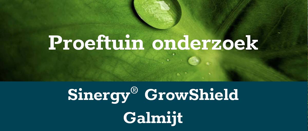 banner-galmijt-klein