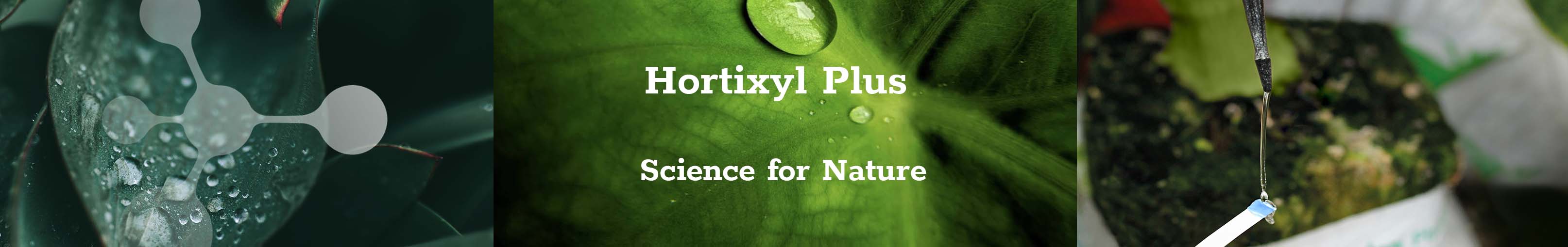 biologische-waterstofperoxide-desinfectie-h2o2-hortixyl-plus