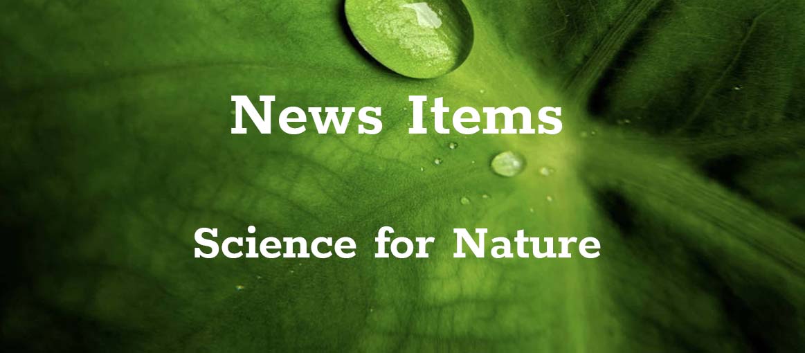 news_items_gsm