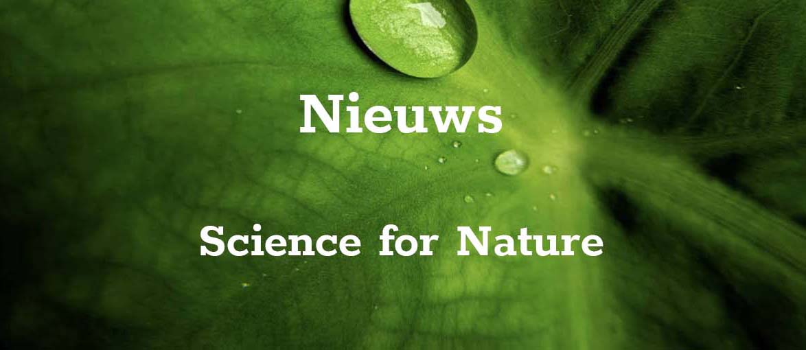 GSM- Banner - Nieuws