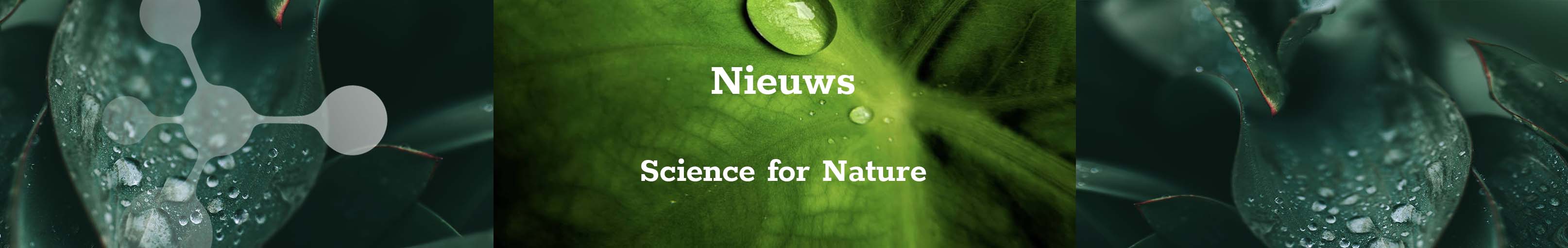 nieuws banner