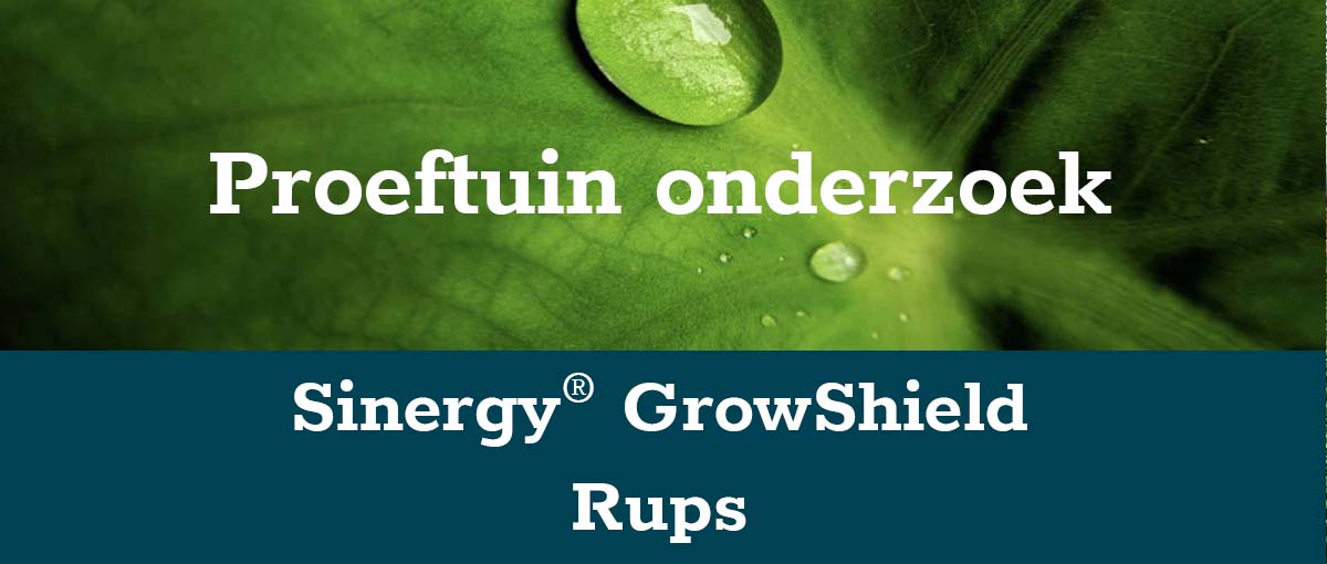 banner-rups-klein
