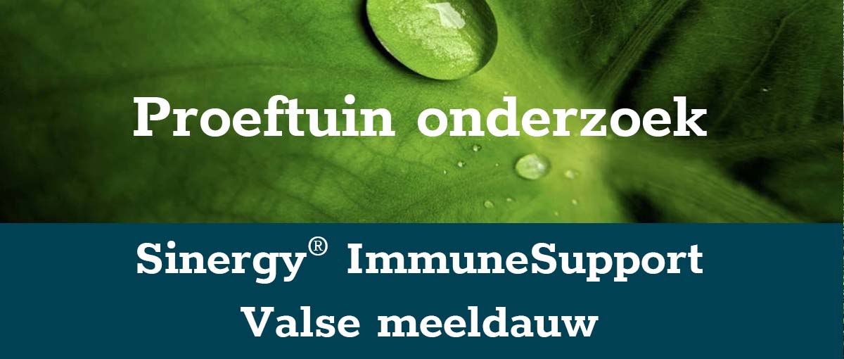banner-valse-meeldauw-klein