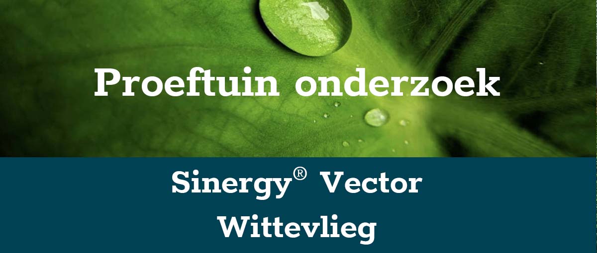banner-wittevlieg-klein